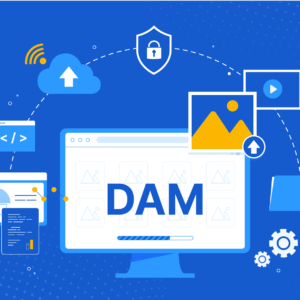 Digital asset management system