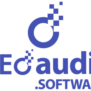 SEO audit software